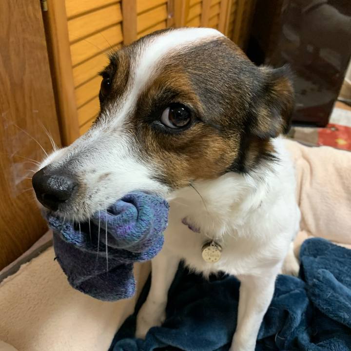 23bd1d92 293b 470e 9c4f 51389d27b43b 1587463111510