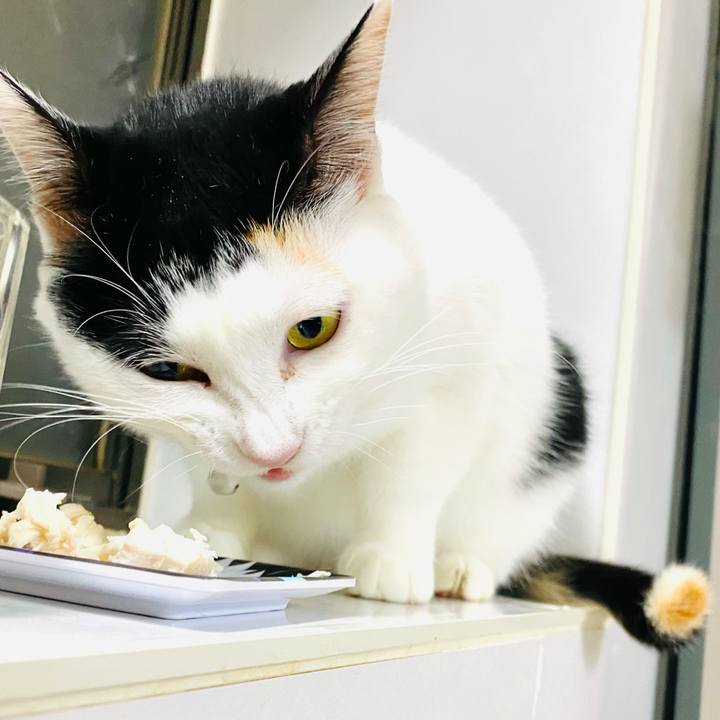 23bd240d e5c6 4522 93d6 74b0215c4ac8 1671191470100