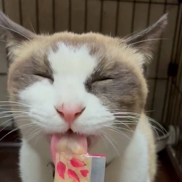 23bd2ea0 f704 41ff 9b4d b9616bd67700 1764586169472