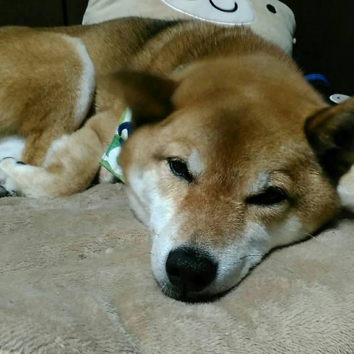 23bd4c6d f10f 4488 9215 ece77517d24d 1560092110119