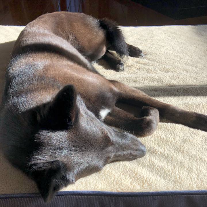 23bdce0b 2376 441c 961d 217766f17183 1614385822995