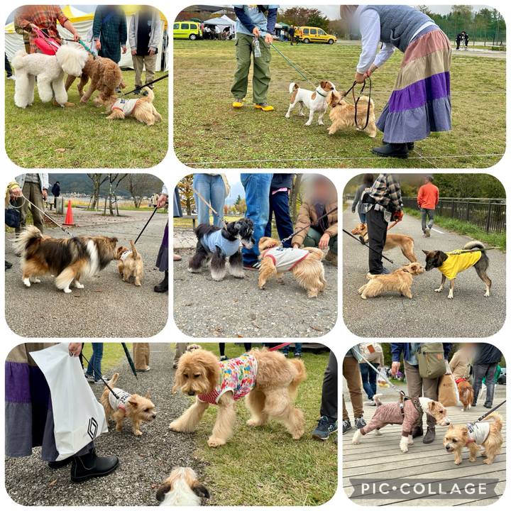 23bdfd11 601d 46b6 a557 5464e278f64e 1730041697623