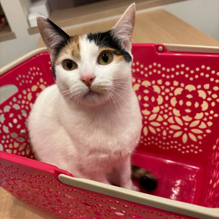 23be00ae 3da2 448a 9986 88a326a184a2 1772787225163