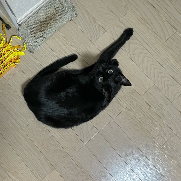 23be9ddd 9ac9 490d 940b 017b934b440b 1769776670323