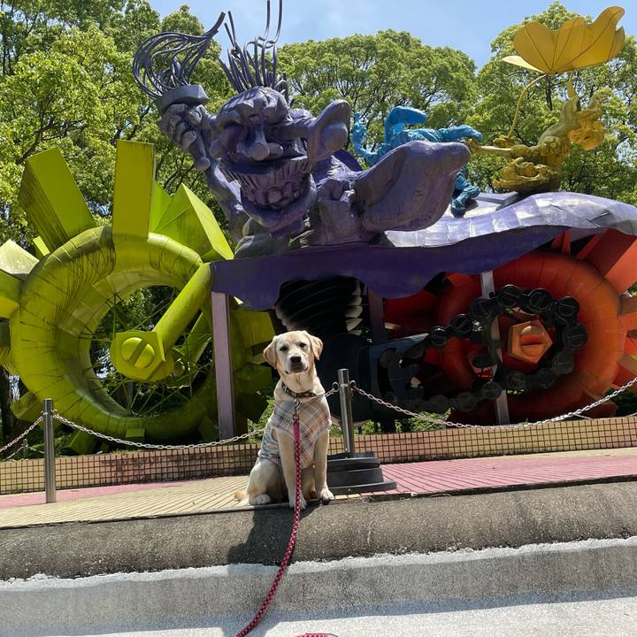 23bedcf9 1147 47f0 b990 3e5a04ae8193 1621071089655