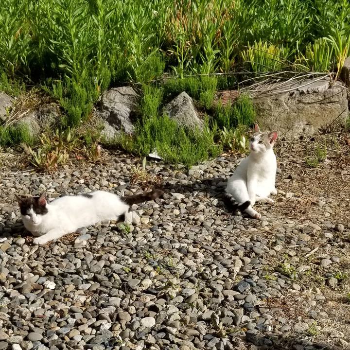 23bef595 f4a8 4d49 a435 00fc3983c5af 1559203644578