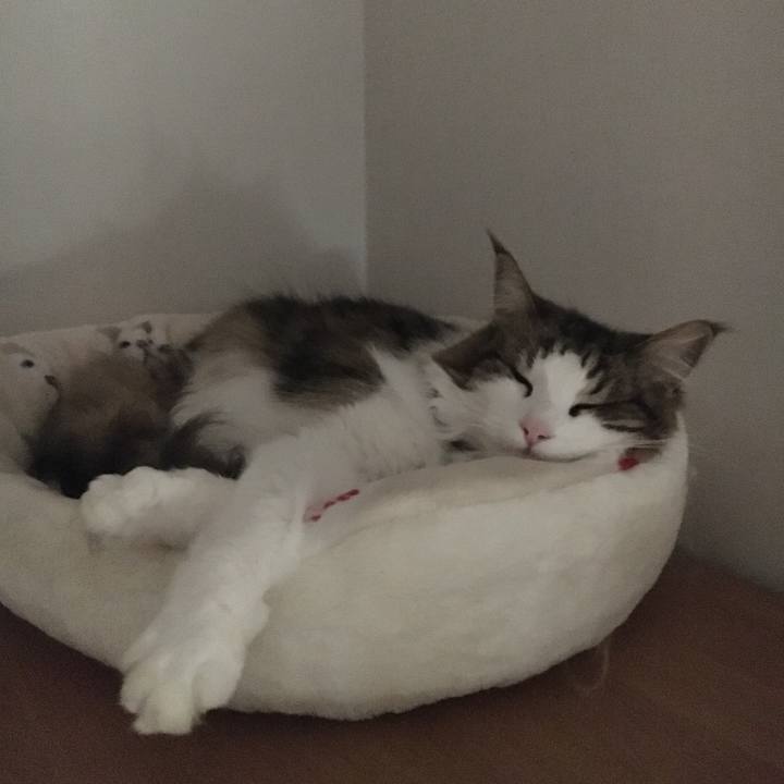 23befc03 505a 4f54 9a42 b7789d69660f 1611242689836