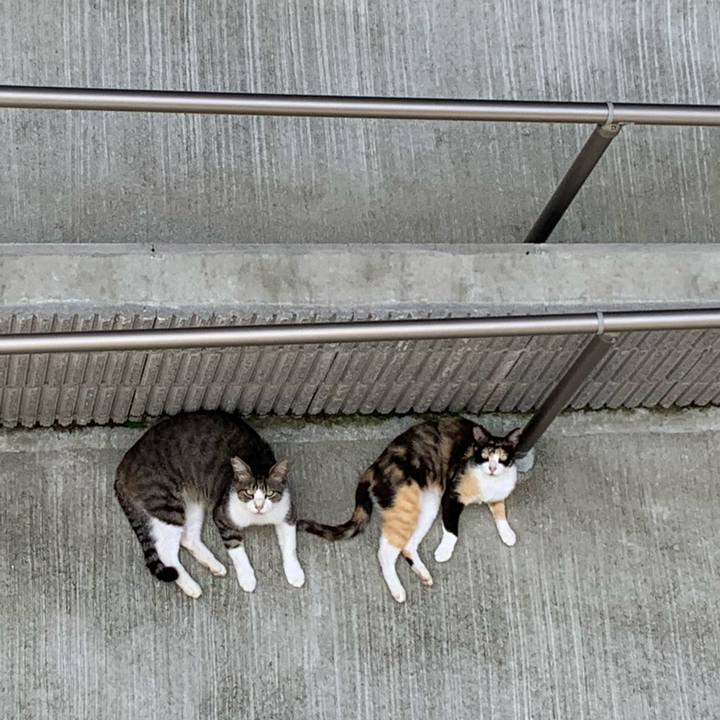 23bf2be2 5bee 4040 bbc1 5a40f93e966a 1594543548548