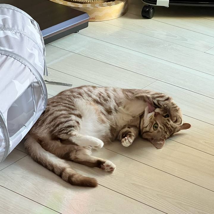 23bf66c7 6934 4fb6 9294 b9e4116c6ecf 1672703725292