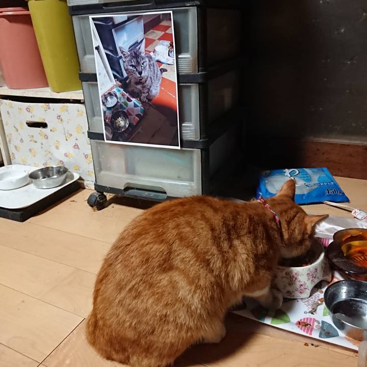 23bfbb0b c03a 4ac4 af85 c613e75b7ab8 1600373926640