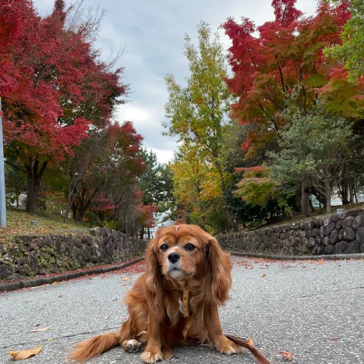 23c03124 5105 4173 bc67 7cf542635361 1668918127910