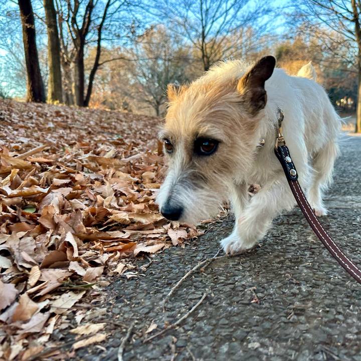 23c03c0c c8bb 43b2 b91c a29a0d528258 1735781679922