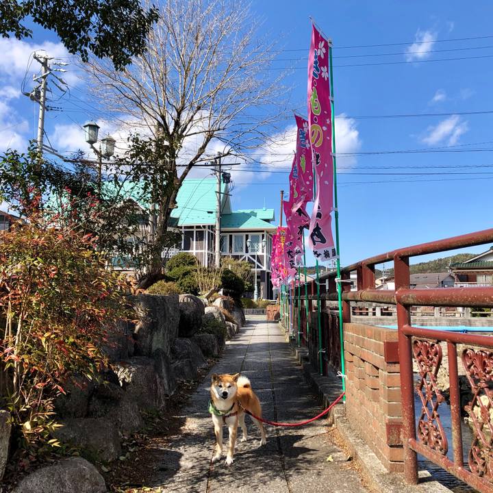 23c08612 4183 43bb a299 56ac6ef8684b 1553510962237