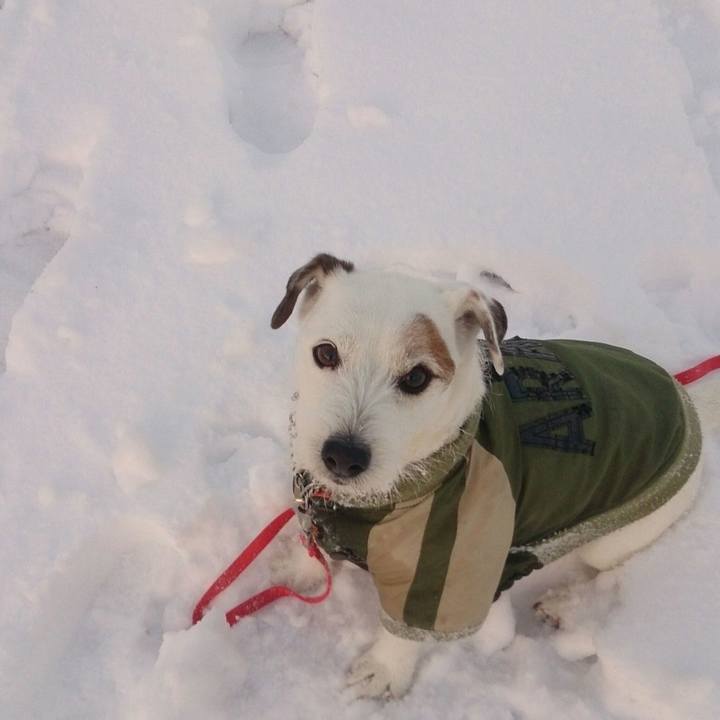 23c08dc5 150b 4f9e af11 8f0cf449e38a 1516751489105