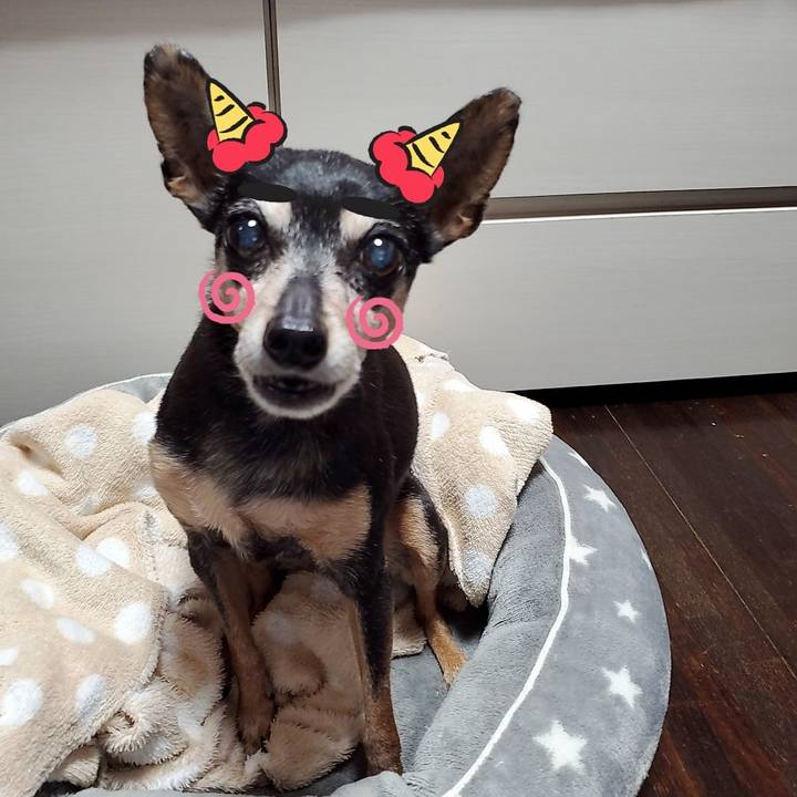 23c090b7 88cc 4953 a3c2 4c2a491c90a8 1675386505306