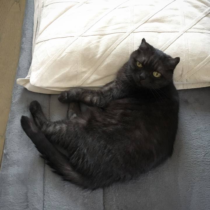 23c0da62 1207 4067 b9cd 71ea65f09626 1566870806387