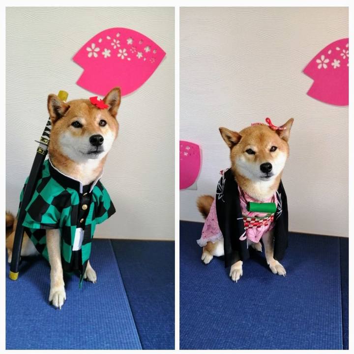 23c10ec9 423e 4c8b 99f8 dc69114e47fa 1591495582517