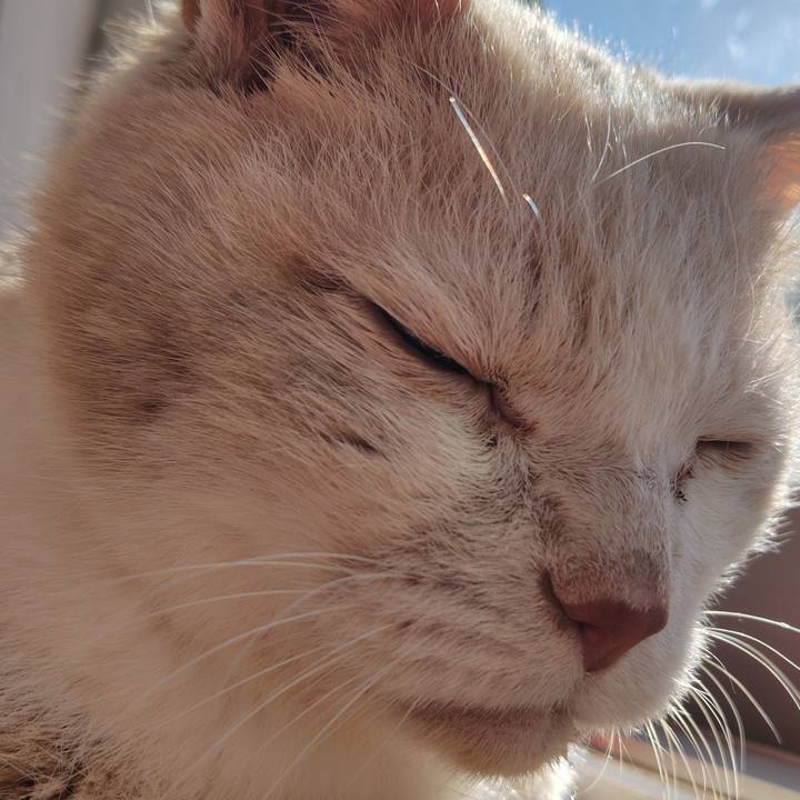 23c148c9 94f2 4b86 8df3 5845b7005a3b 1769825795125