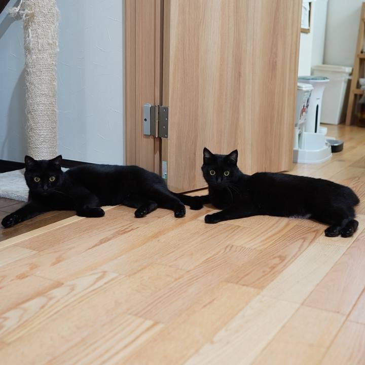 23c17b19 1366 480c b928 5800b8d17e2c 1567217250053