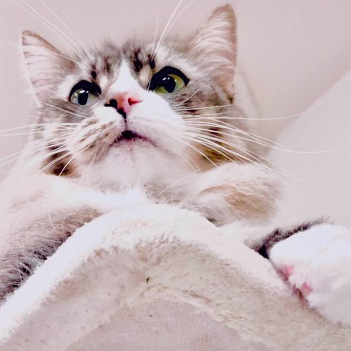 23c1a712 662e 4493 803c 0ee890b7df90 1765206907945