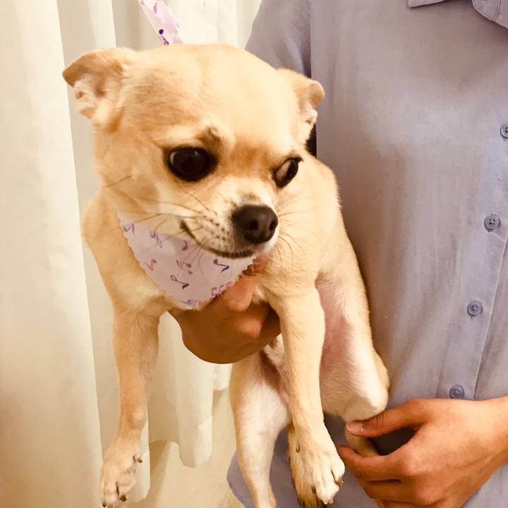 23c1b644 0751 4051 9441 4aed448d0d5c 1551001376671