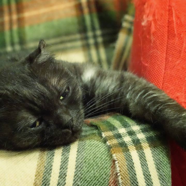 23c20811 af38 4666 b743 9abdbf69fca5 1565708792675