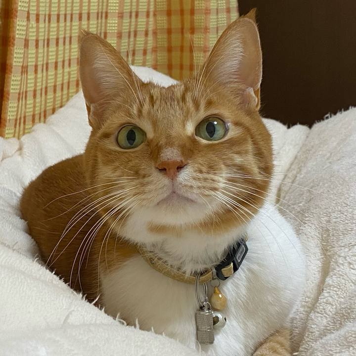 23c2293b 503c 4319 9d84 770e57b1314d 1741969239982