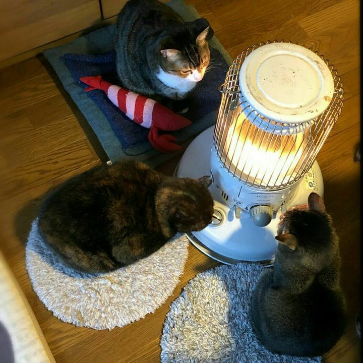 23c23f89 116b 430a 8552 6aad9a41df94 1580439158253