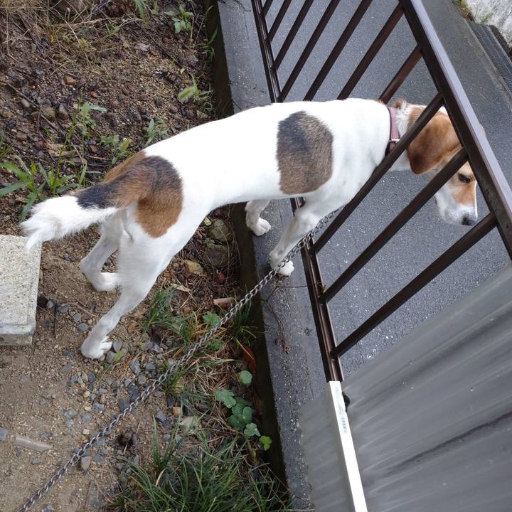 23c2791a 8edf 4a00 8c4d 8cd5587547d3 1594172147675