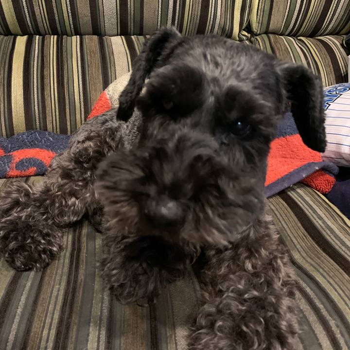 23c284d6 b660 41f4 9a10 f88ed870c9e9 1602751728924