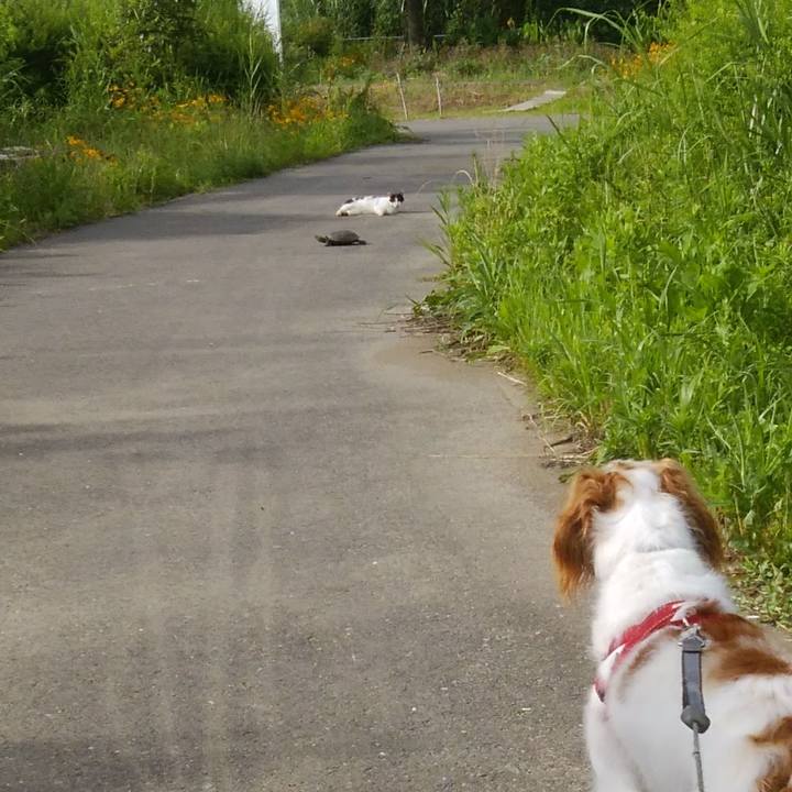 23c298ae f066 44a0 b623 7b9cba63fcef 1530359532227