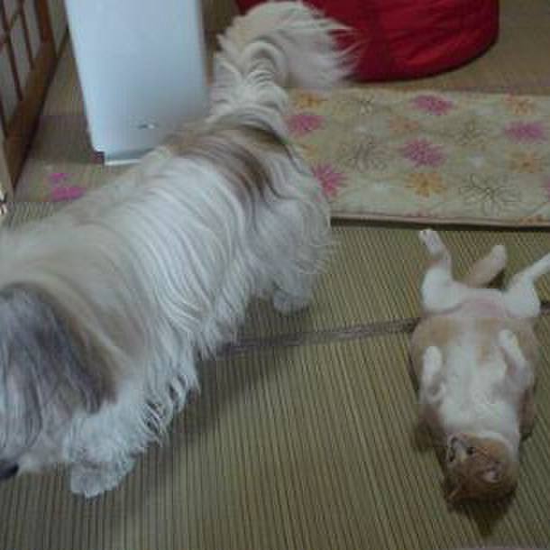 23c299f1 449b 47b8 b152 ef5827744de1 1513323335847