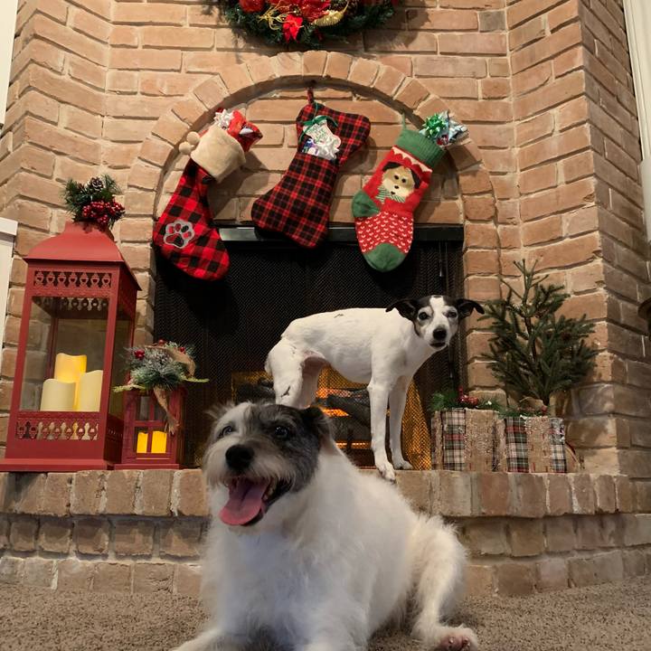 23c29cdc fa6e 46ca 9242 d97fd6e11097 1639953255884