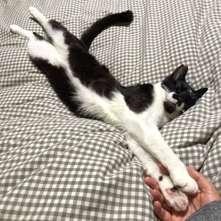 23c2a0bd e7cf 4fe4 b762 054b55ead387 1550571940325