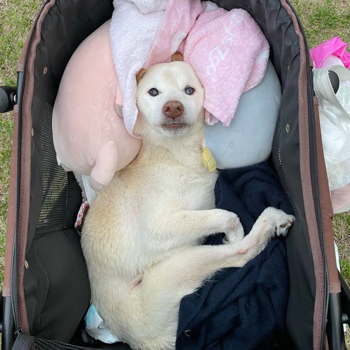 23c2b4f7 5072 495a 9324 76b2f90b0c9e 1679314909294