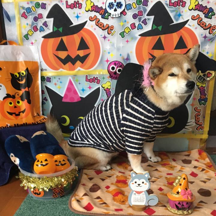 23c2ba61 95b5 4cbb 89c6 9037ecc70009 1604103357722