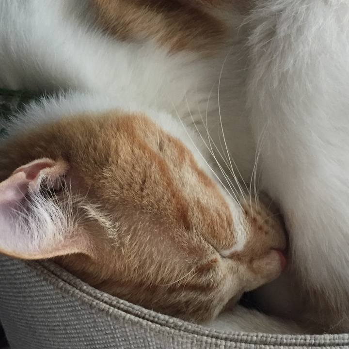 23c2d406 29db 4e23 b47f f40bfc839d13 1595515634966