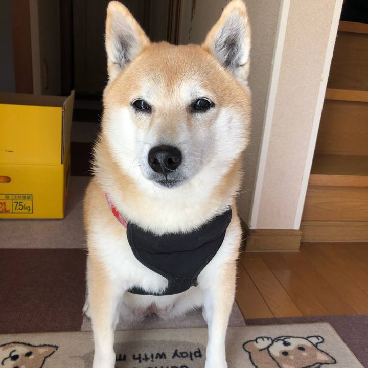 23c2e665 5033 423d 8b04 2856ff01dea6 1606365476037