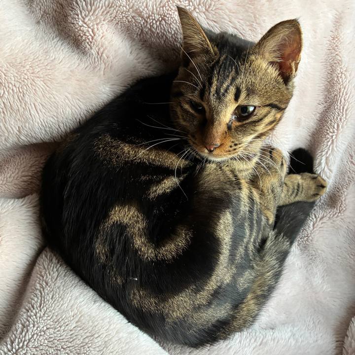 23c2f235 9535 43dc be64 1cca7a68cae7 1760828511185