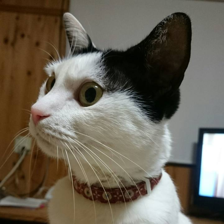 23c2fce6 d462 4164 98d7 e157020156c9 1513346168967