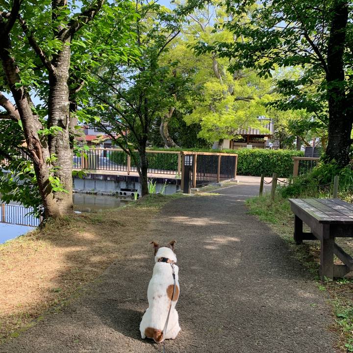 23c30607 2741 4d33 8708 4be4b1562ffb 1620132022658