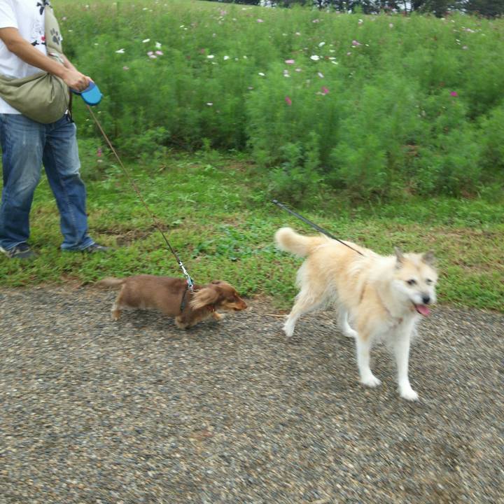 23c35582 9bcd 465d bf29 69a9cd17b407 1537000306634