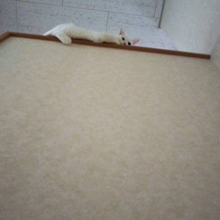 23c3f02c 0216 4485 99dc e634479603c8 1571879542826