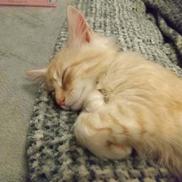 23c3f34a a89b 44d4 a09c 85a5ba7a8c82 1605646116201