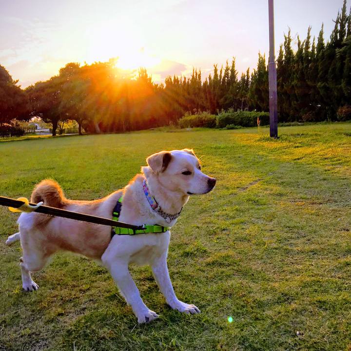 23c3fc53 1b74 445d bf11 66d0e2ff4d65 1523362461222