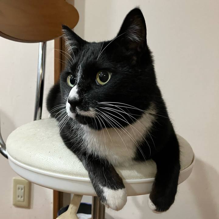 23c40abe 30bc 4f35 8b59 1a6c7b9c98fd 1686540978397