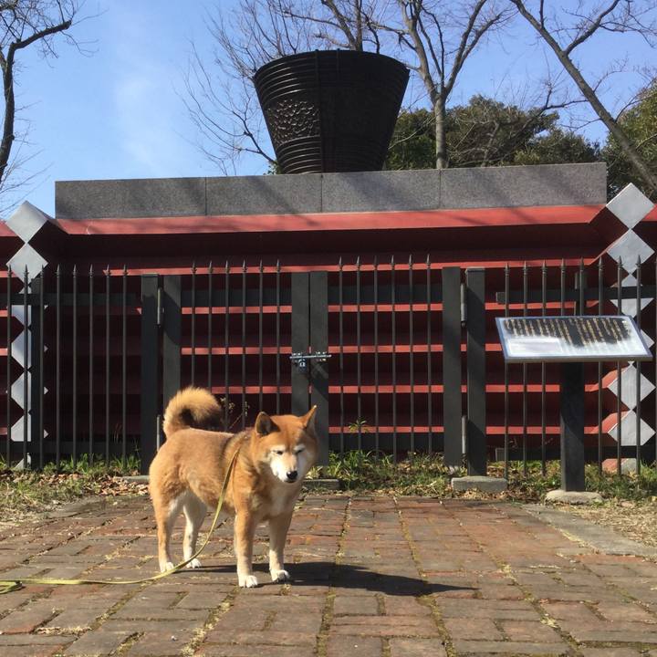 23c42125 4d59 4d90 8403 182584262d9c 1614832619090