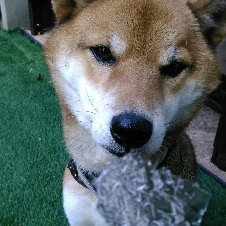 23c436f7 db8c 427f 9b70 fc02eb11ed79 1513557275762