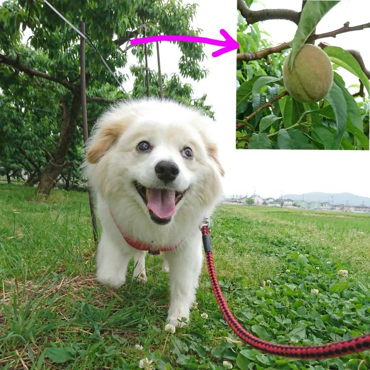 23c454b2 e6d0 4c5b a4e4 7da4d233b7f7 1528317632107