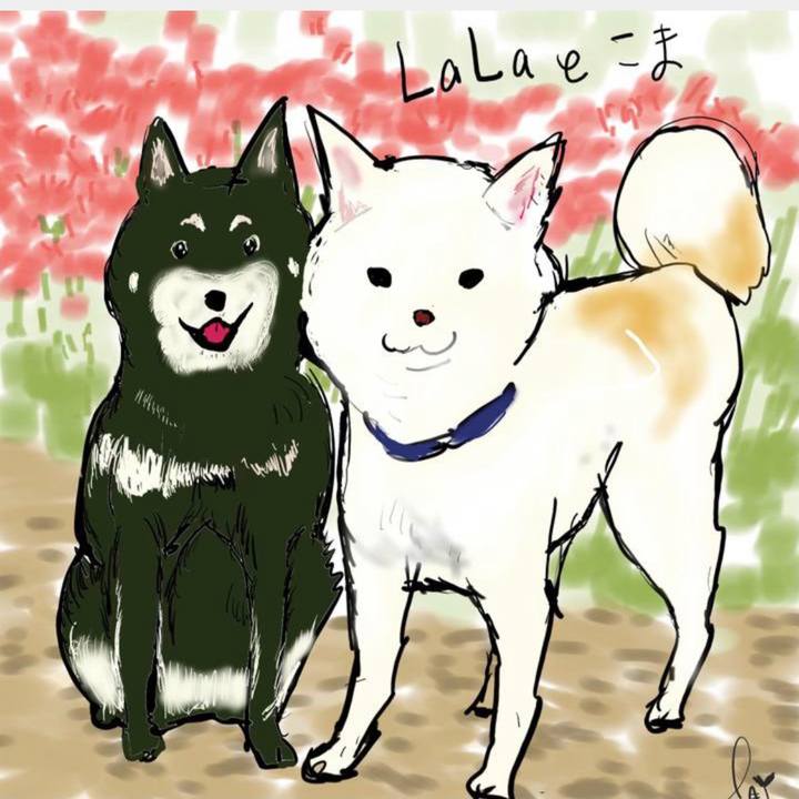 23c4c5b1 439c 4e70 9d88 c2d78bdb7426 1629626249757